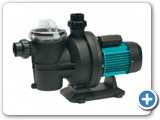 swimming pool pumps